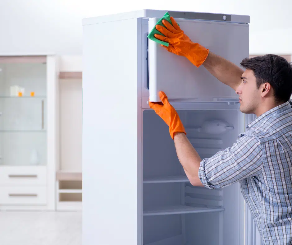 General Image 50 How to deep clean your fridge