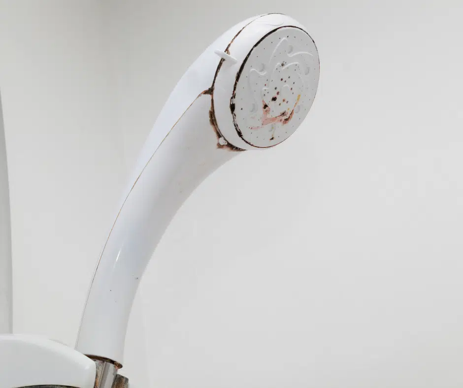 how to use vinegar to clean a showerhead