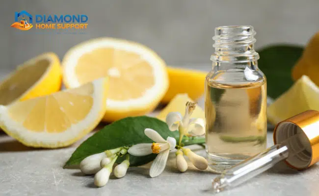 The use of essential oils in cleaning the use of essential oils in cleaning