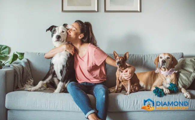 cleaning tips for pet owners