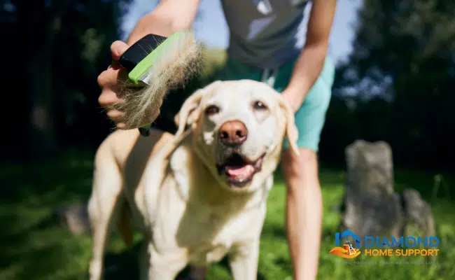 cleaning tips for pet owners